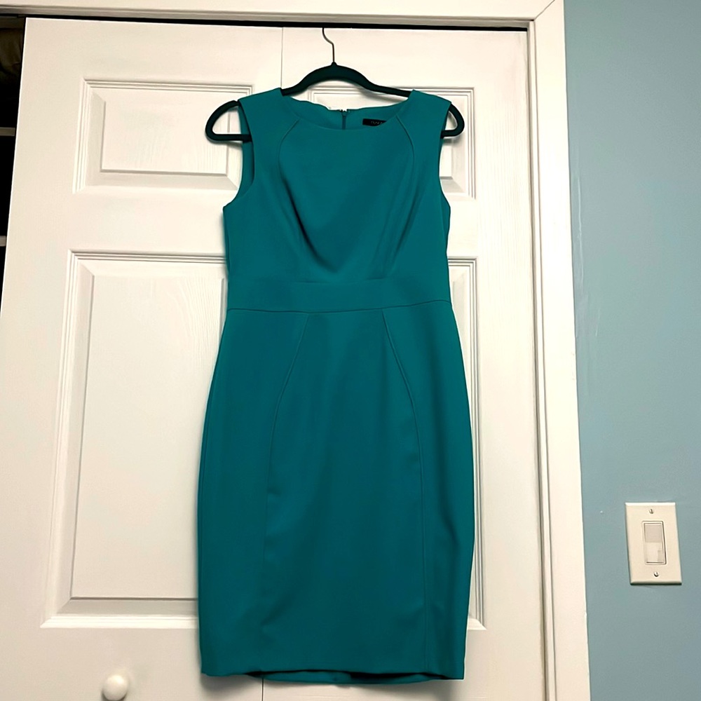 NWOT European size 10 Dunnes store fitted dress